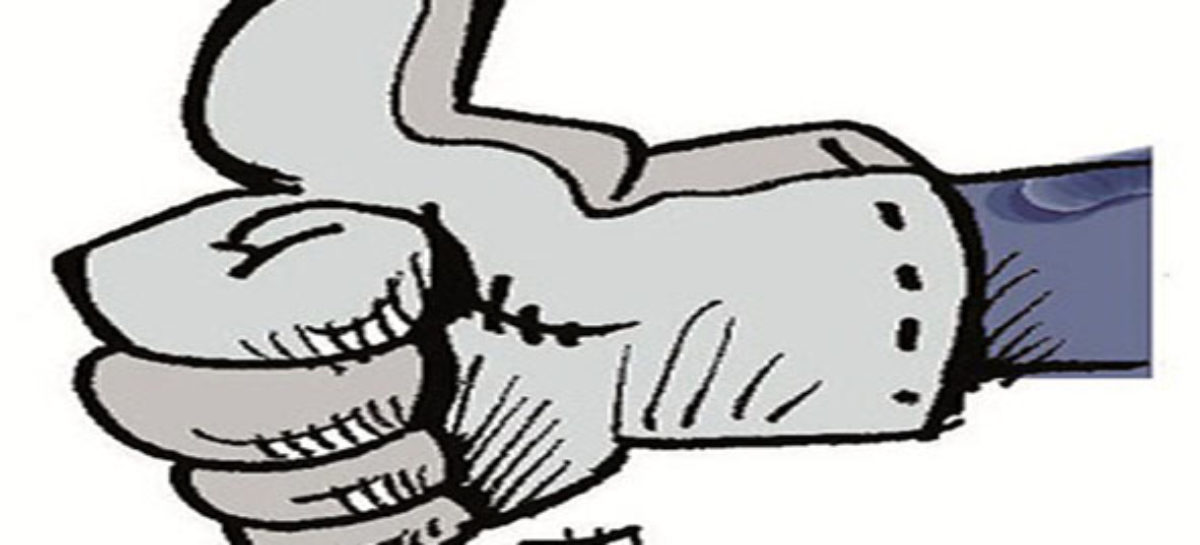 CS 2013: na Biolins, proposta aprovada!