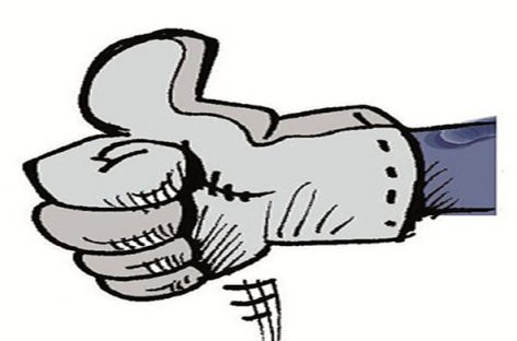 CS 2013: na Biolins, proposta aprovada!